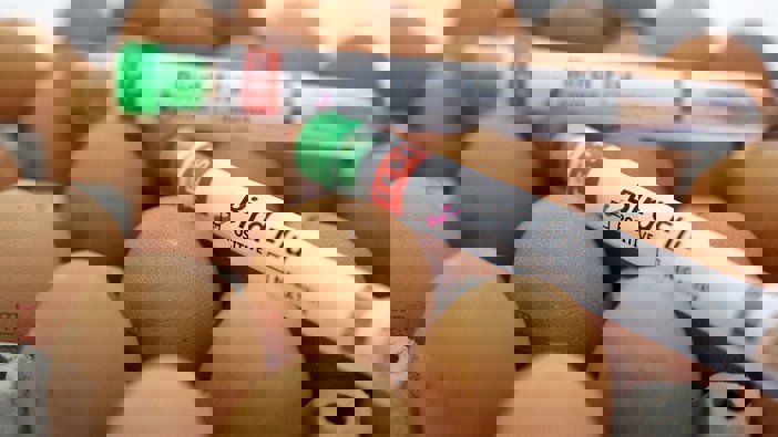 Bird Flu Surge in Germany Could Drive Egg & Poultry Price Jump — Business