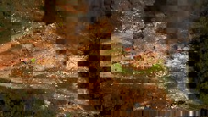 Deadly Blast Leaves Multiple Missing in Tennessee